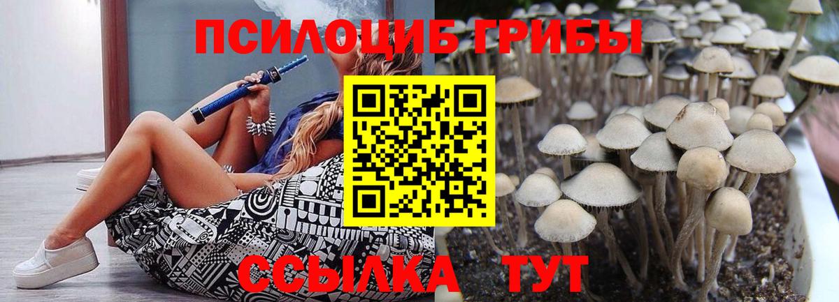 Волоколамск  Галлюциногенные грибы Psilocybine cubensis  Галлюциногенные грибы мицелий  Вход с VPN 